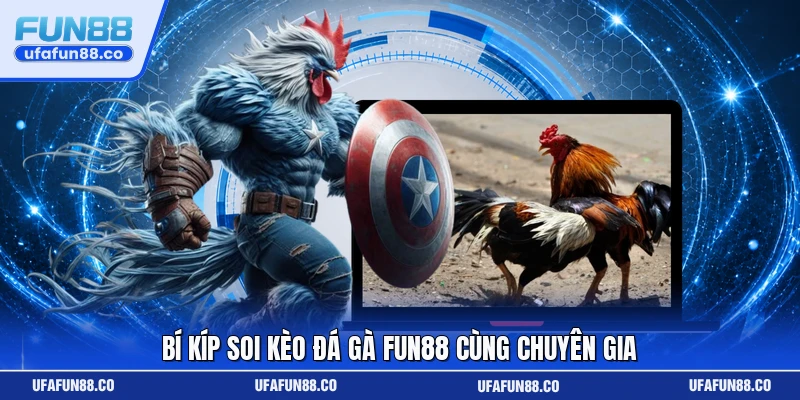 Bí kíp soi kèo đá gà Fun88 cùng chuyên gia